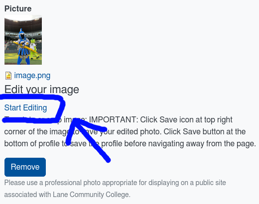 Visual of Picture Input with arrow pointing to Start Editing link