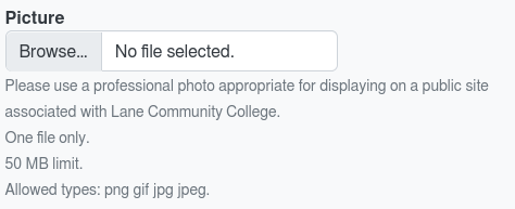 Visual of the Picture Input when it is empty