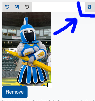 Visual of picture widget with arrow pointing at save icon