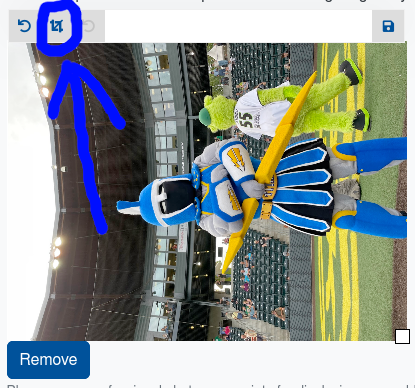 Visual of Picture Widget with arrow pointing to crop icon
