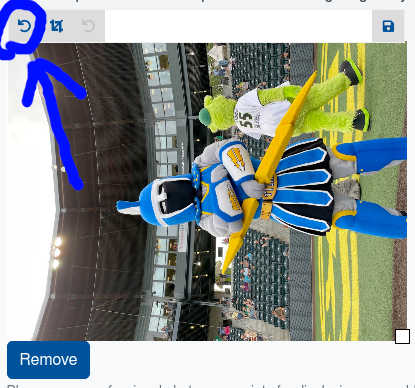 Visual of Picture Widget with arrow pointing to rotation icon