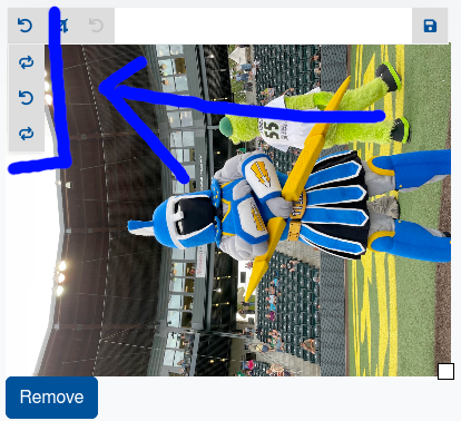 Visual of Picture Widget with arrow pointing to rotation menu