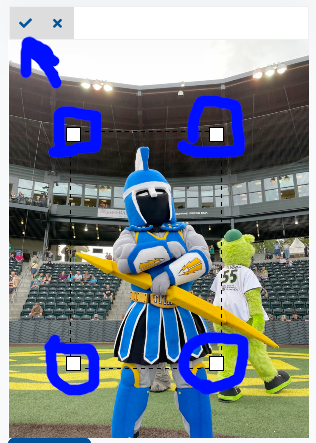 Viaual of picture widget with crop handles circled and arrow pointing to checkmark icon